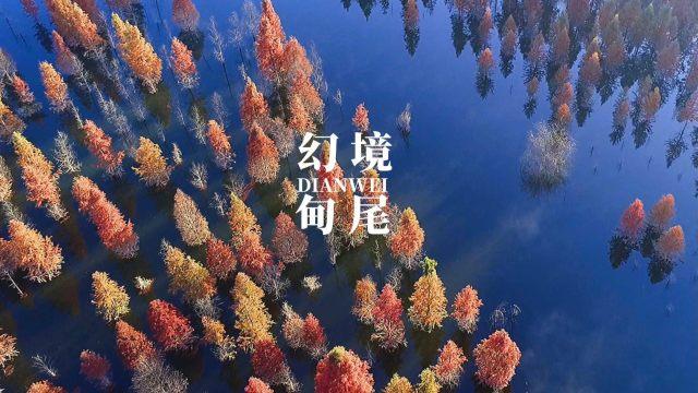 华丽礼帽